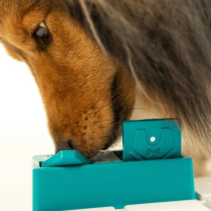 Pawzler los puzzelstuk – Nai - 2 stuks - Shop with Marley's