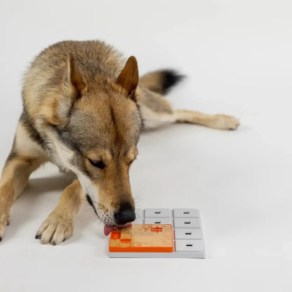 Pawzler los puzzelstuk – Terra - Shop with Marley's