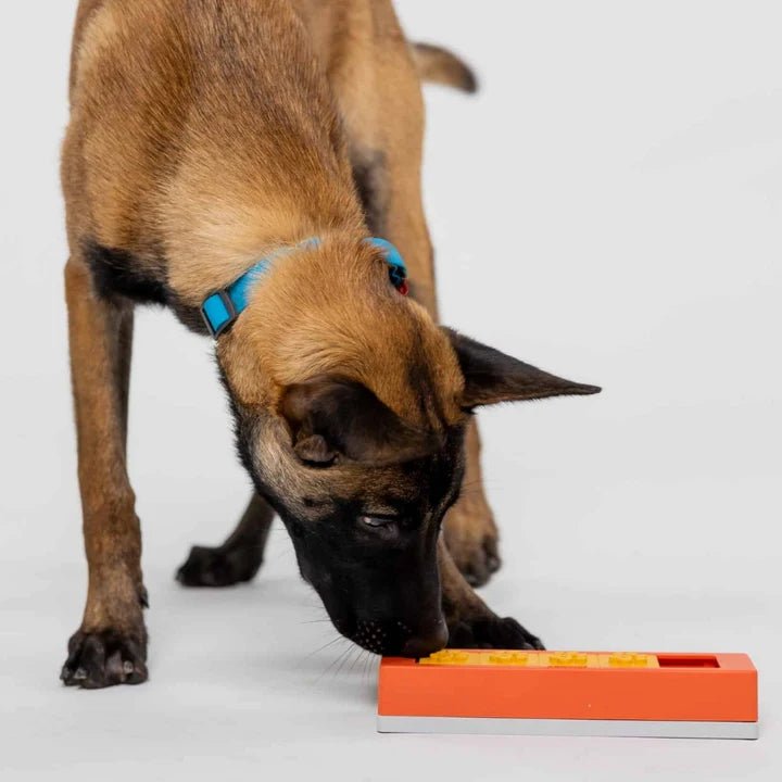 Pawzler los puzzelstuk – Zhu - Shop with Marley's