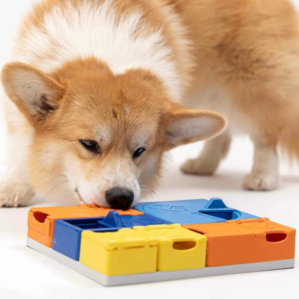 Pawzler Rainbow Set - modulaire interactieve hondenpuzzel - Shop with Marley's