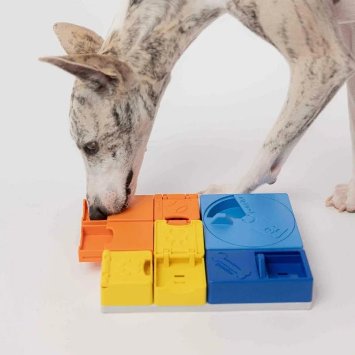 Pawzler Rainbow Set - modulaire interactieve hondenpuzzel - Shop with Marley's