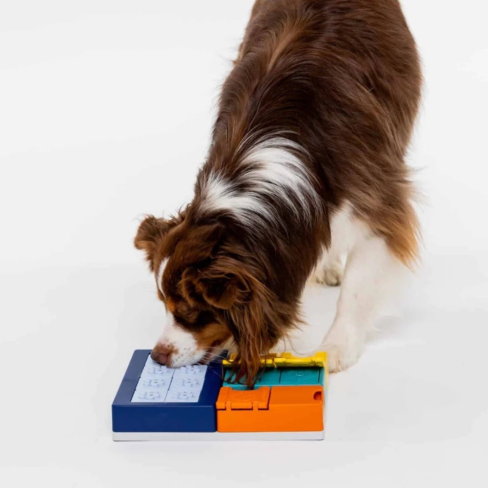 Pawzler Smarty Set - modulaire interactieve hondenpuzzel - Shop with Marley's