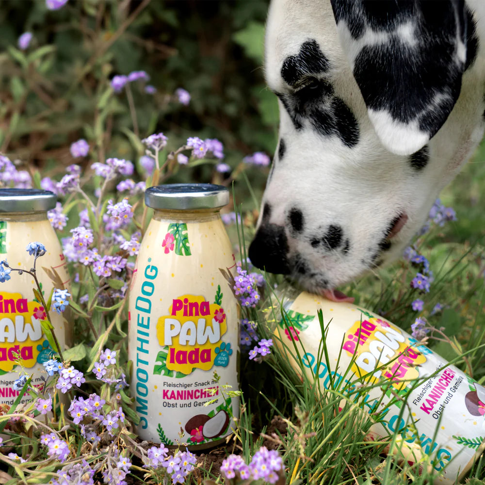 Smoothiedog Summer Editie - Konijn, fruit & kokos