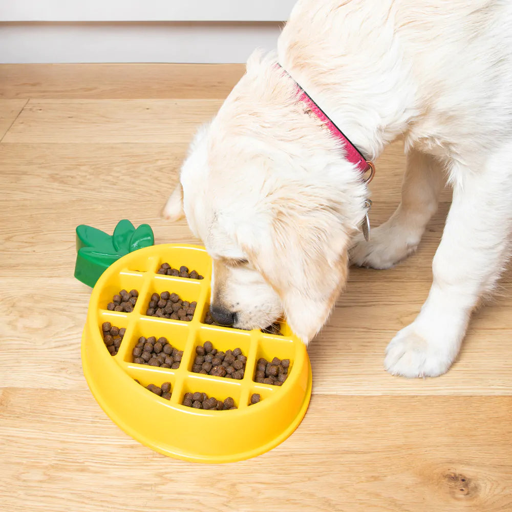 Zippypaws HappyBowl Pineapple - slow feeder