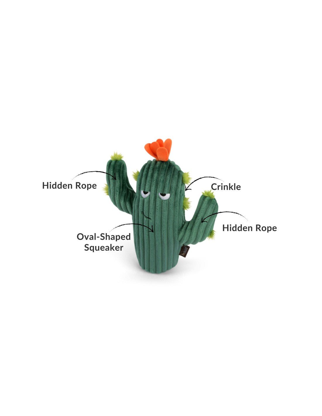 P.L.A.Y Blooming Buddies Prickly pup Cactus - Shop with Marley's