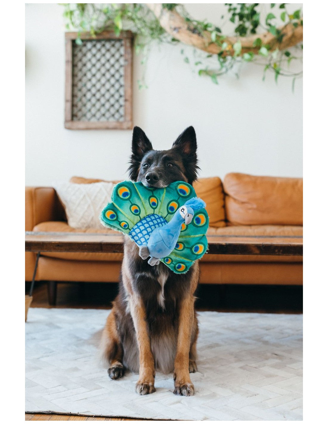 PLAY Fetching Flock dog toy Peacock
