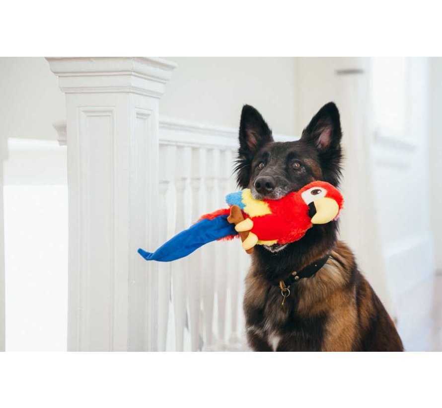 PLAY Fetching Flock dog toy Parrot