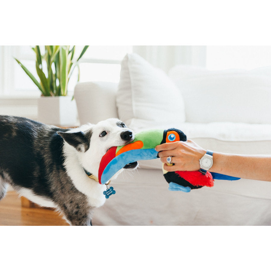 P.L.A.Y Fetching Flock hondenspeeltje Toucan