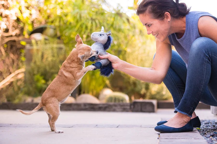 P.L.A.Y Willow's Mythical hondenspeeltje Unicorn - Shop with Marley's