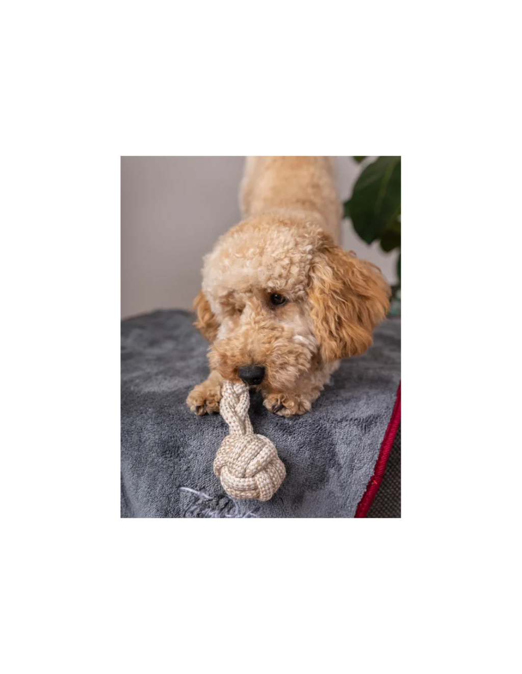 Trendpet Ruby - Super absorberende droogdoek