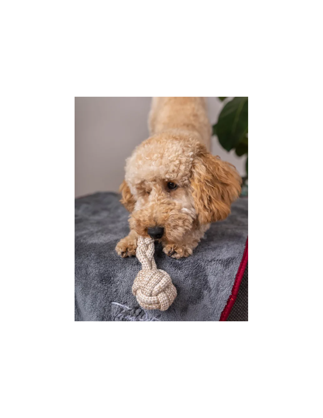 Trendpet Ruby - Super absorberende droogdoek