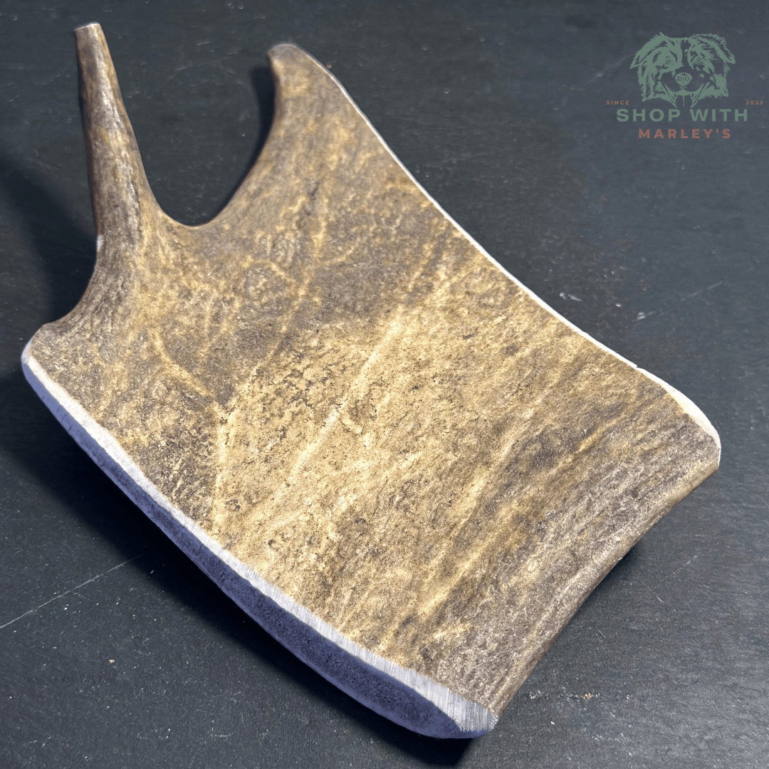 Shop with Marley's Damherten Gewei - Shop with Marley's