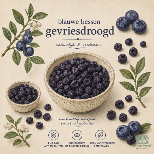 Shop with Marley's - Functionele topper - Gevriesdroogd fruit - Blauwe bessen - Shop with Marley's