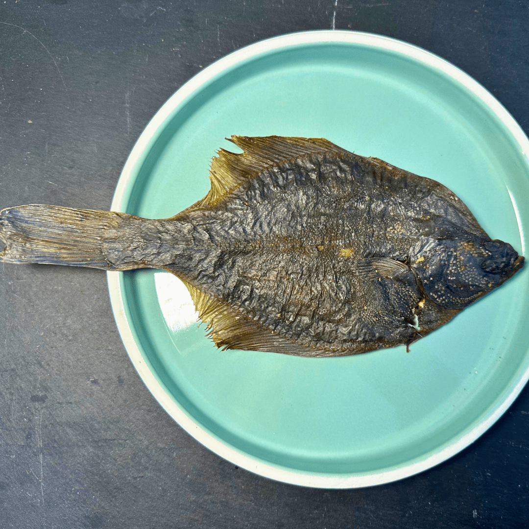 Shop with Marley's gedroogde Bot (platvis) - Shop with Marley's