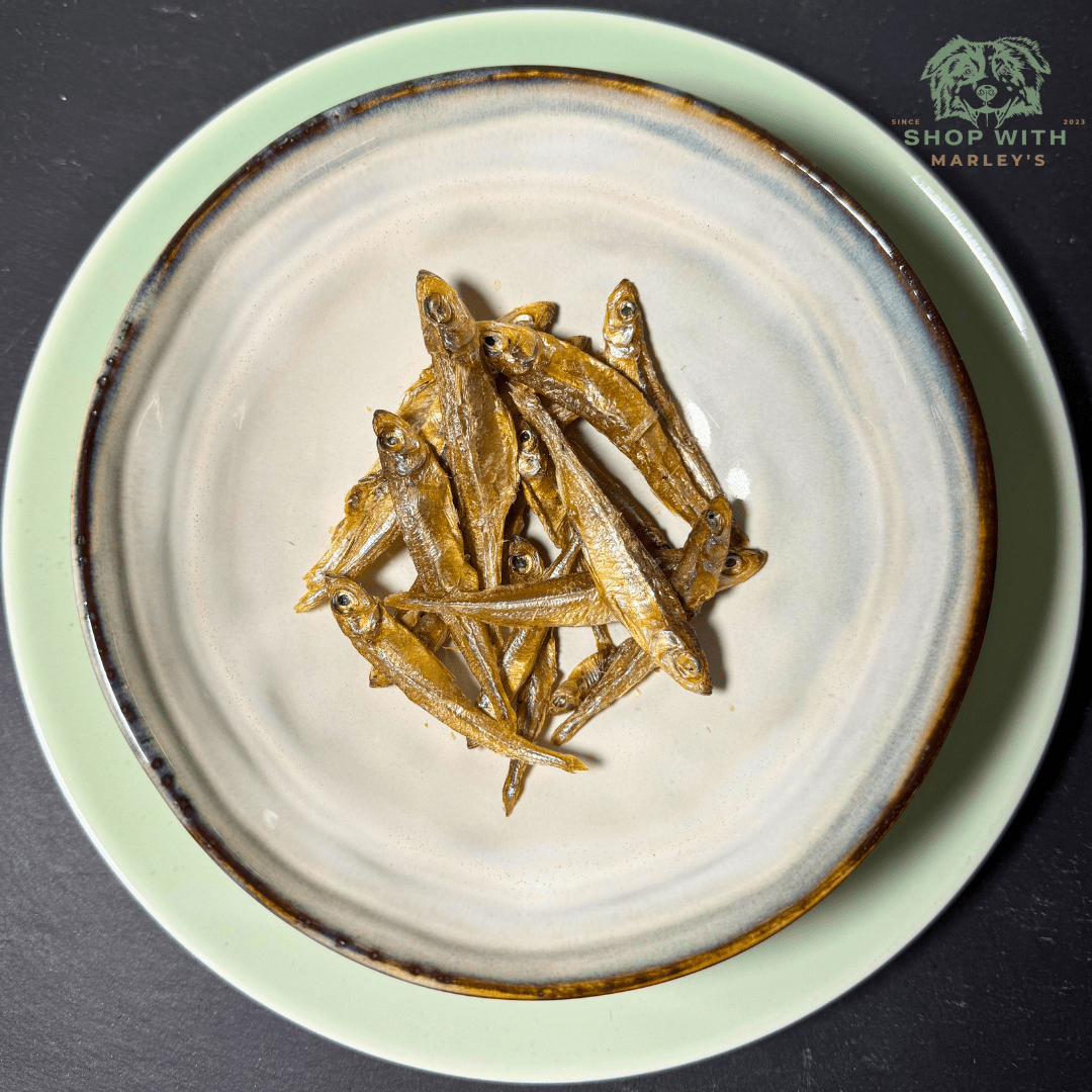 Shop with Marley's Gedroogde Snacks Vis - Sprotjes - 75 gram - Shop with Marley's