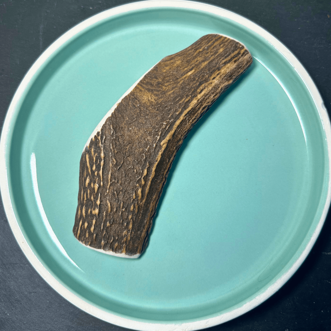 Shop with Marley's Hertengewei gezaagd - Shop with Marley's