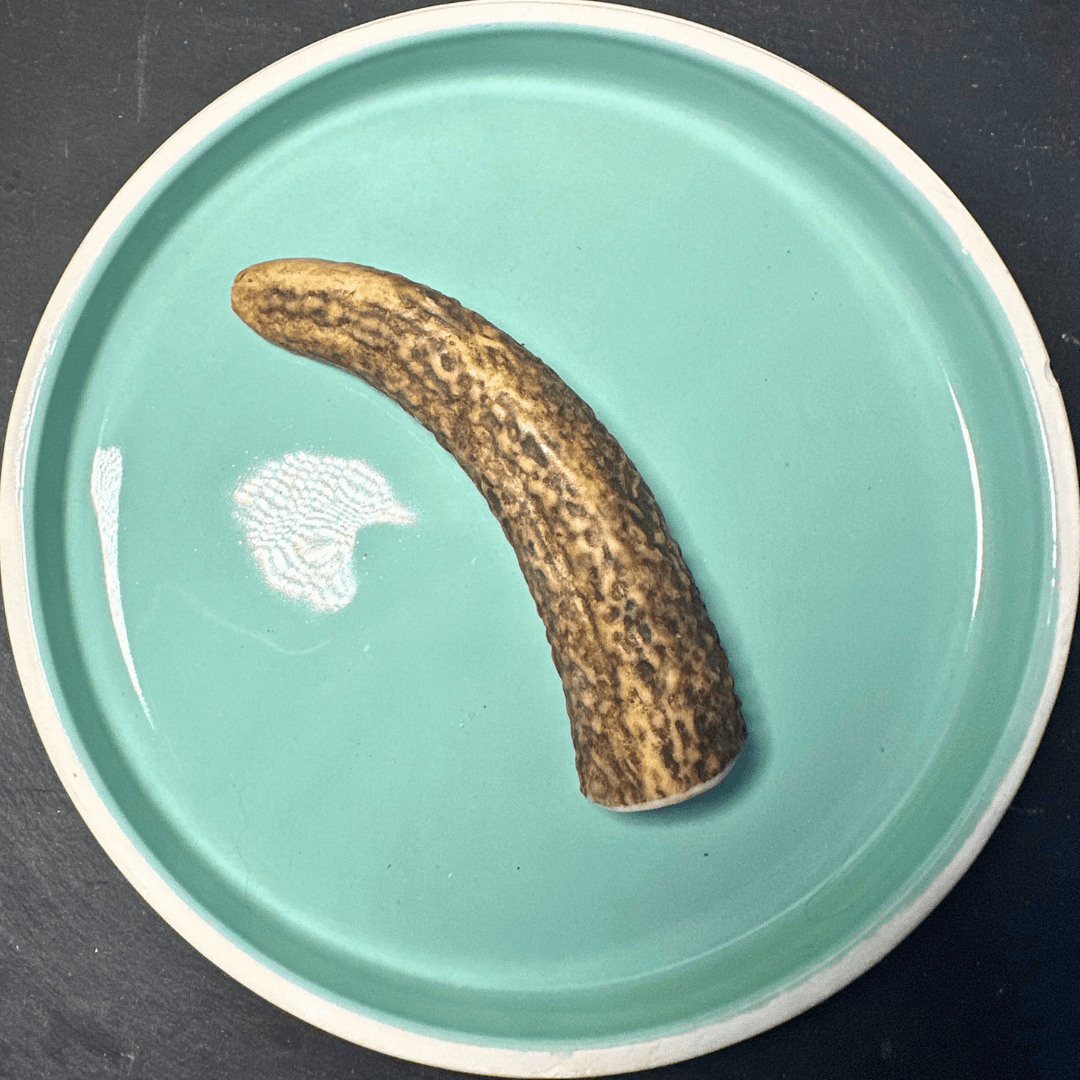 Shop with Marley's Hertengewei heel - Shop with Marley's