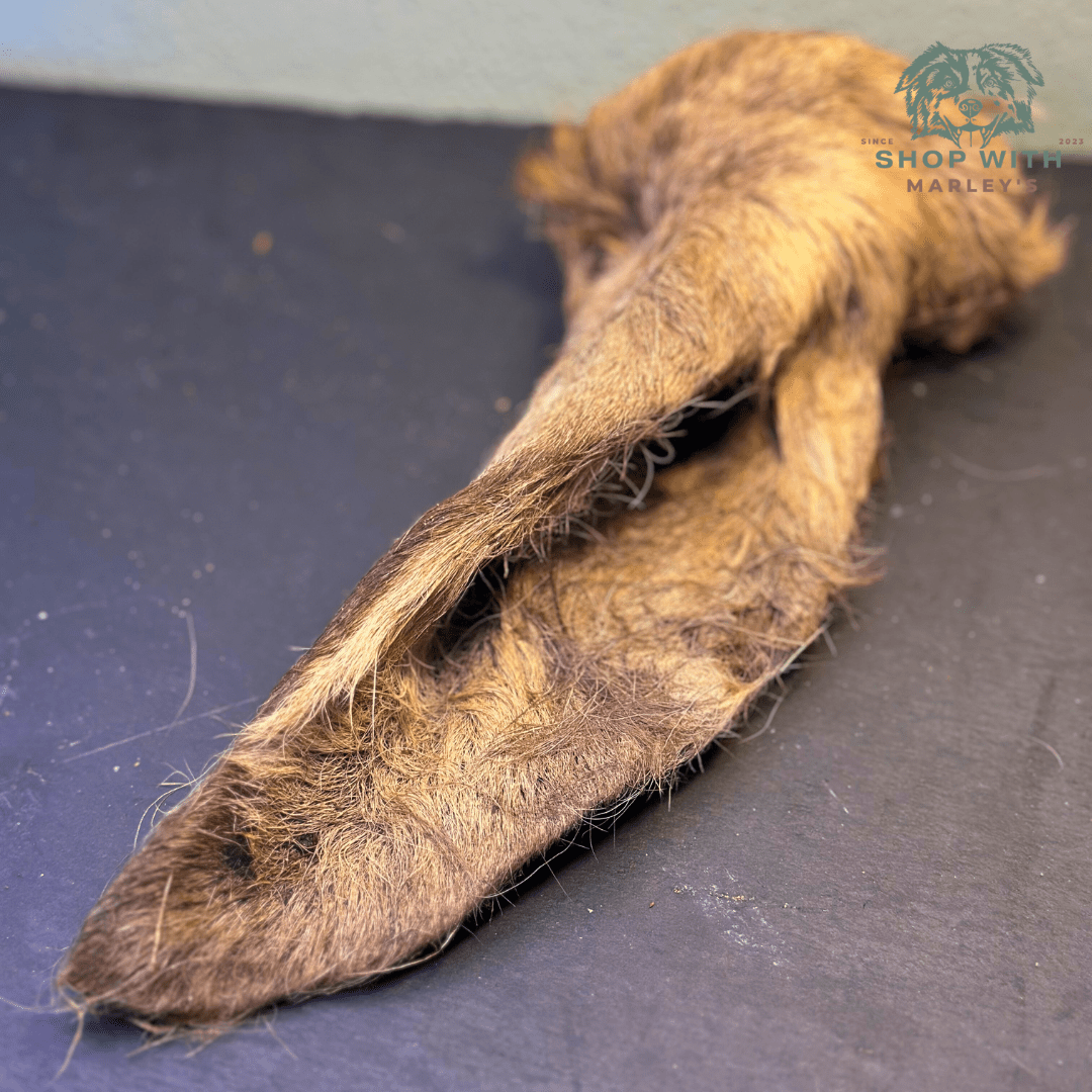 Shop with Marley's Hertenoor met haar (per stuk) - Shop with Marley's