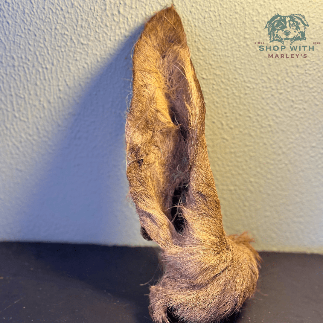 Shop with Marley's Hertenoor met haar (per stuk) - Shop with Marley's