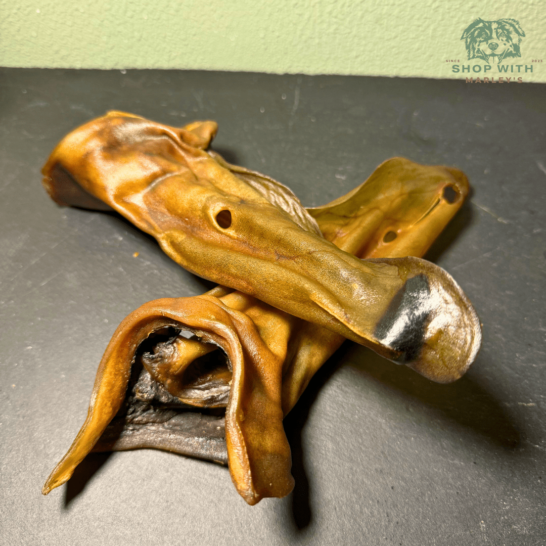 Shop with Marley's Kameel - Oren met pit - 5 stuks - Shop with Marley's