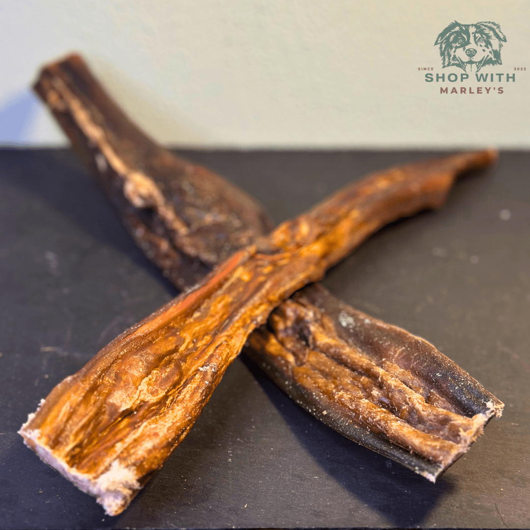 Shop with Marley's Kamelenhuid 40cm (1kg) - Shop with Marley's