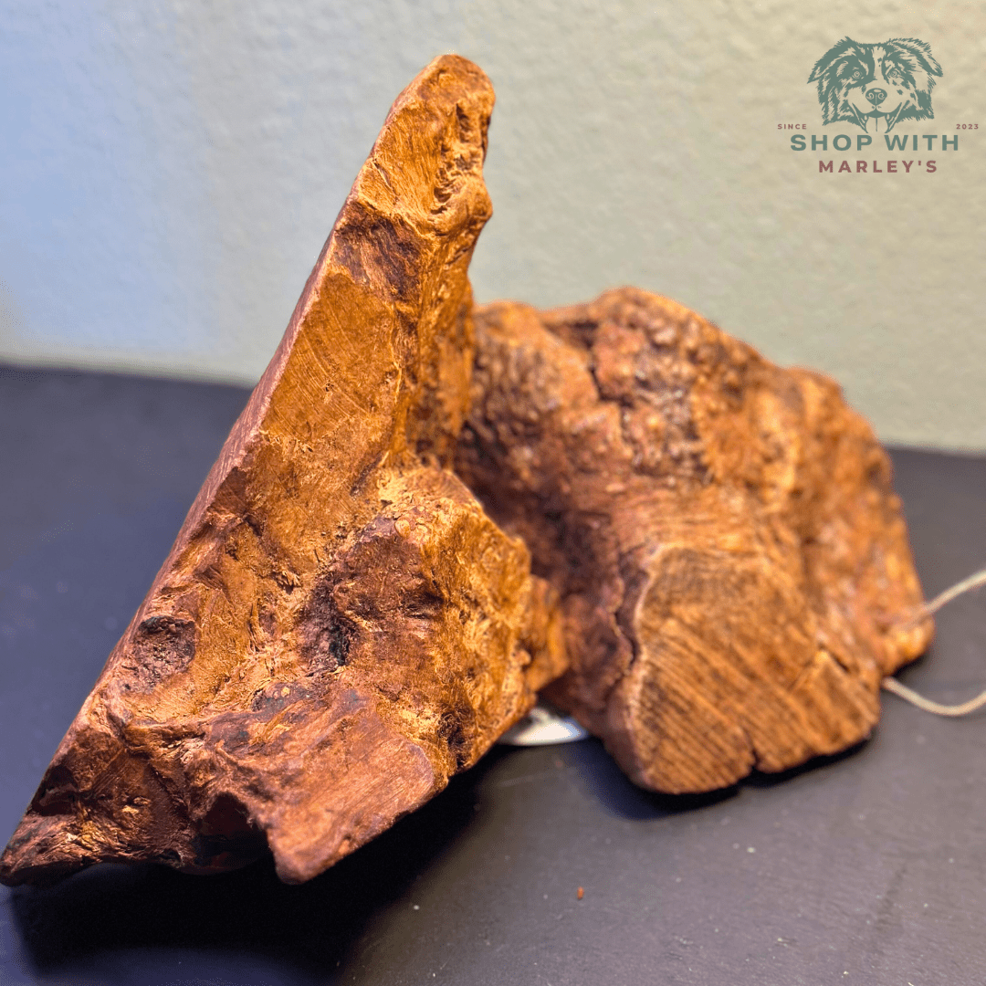 Shop with Marley's Kauwwortel Olijfboom - Shop with Marley's