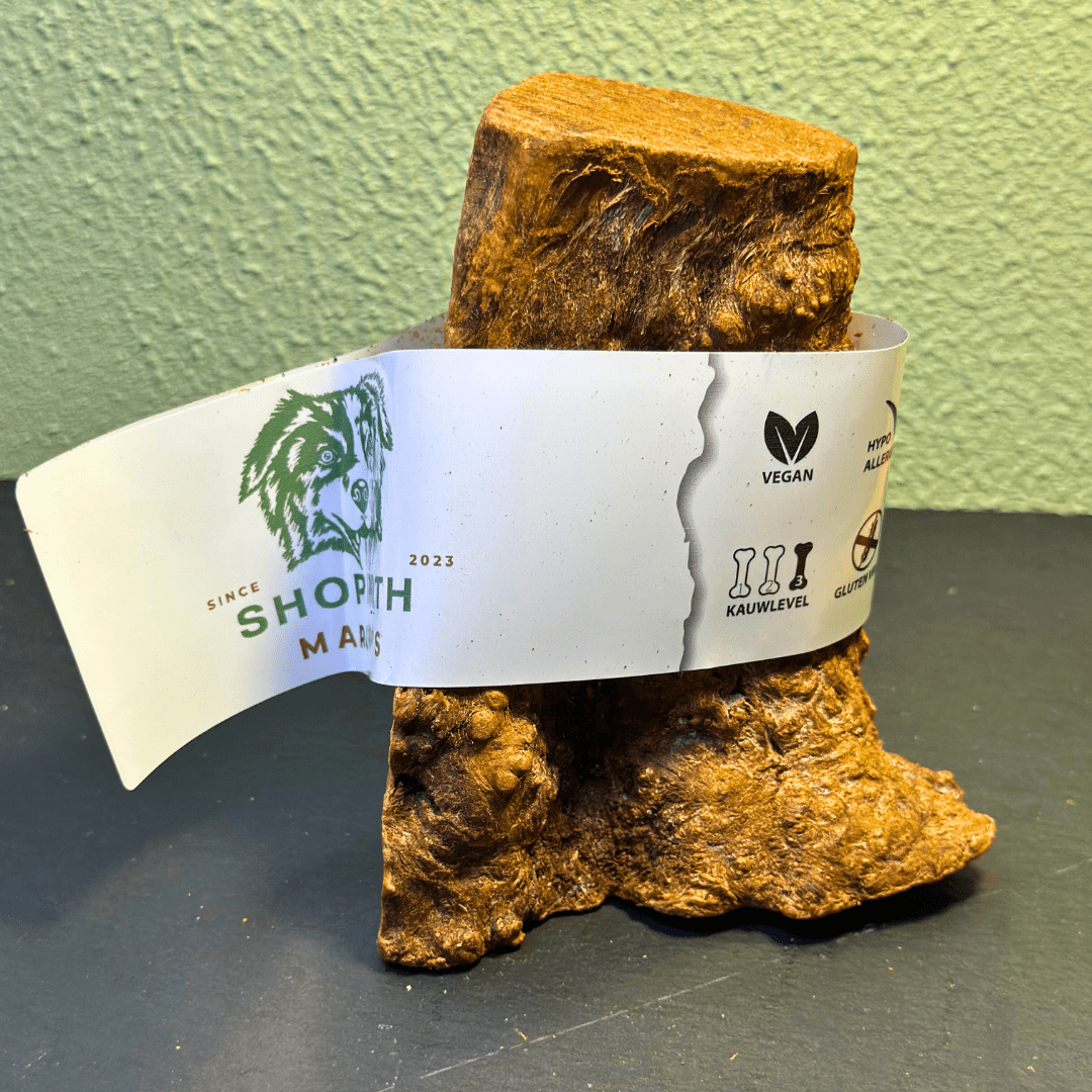 Shop with Marley's Kauwwortel Olijfboom - Shop with Marley's