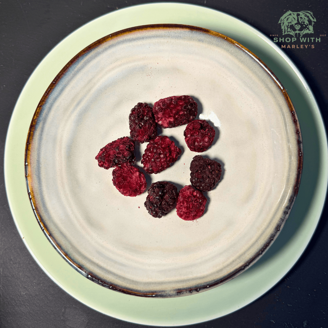 Shop with Marley's topper gevriesdroogde bramen - Shop with Marley's