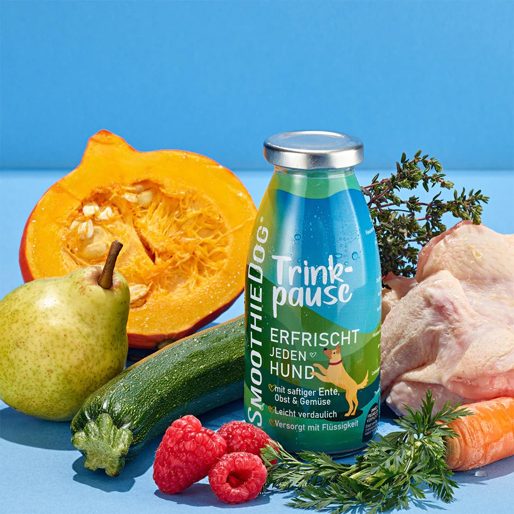 Smoothiedog Drinkpauze - Eend, fruit & groenten - Shop with Marley's