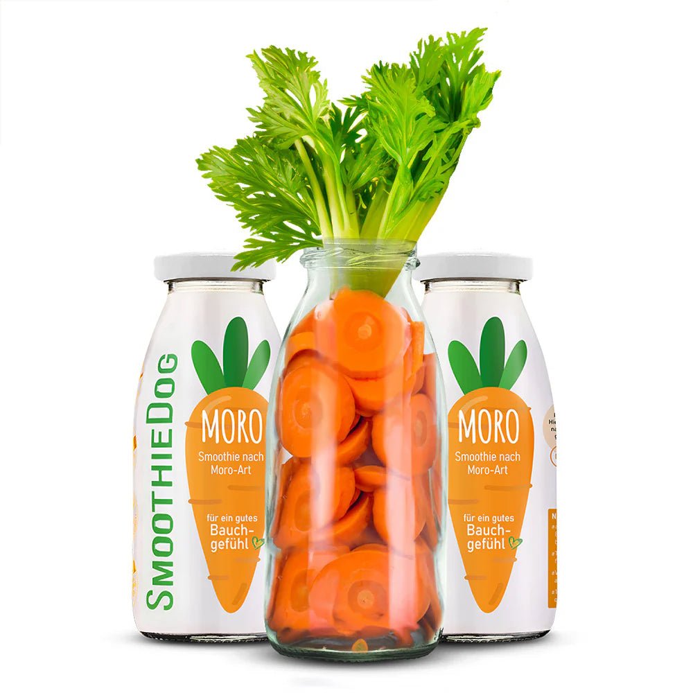 Smoothiedog Moro Art - Wortelsoep - Shop with Marley's