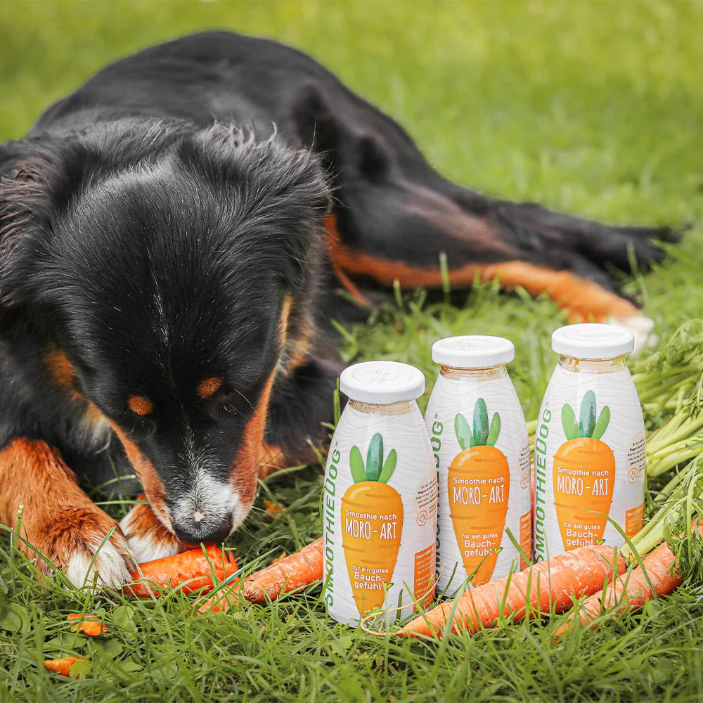 Smoothiedog Moro Art - Wortelsoep - Shop with Marley's