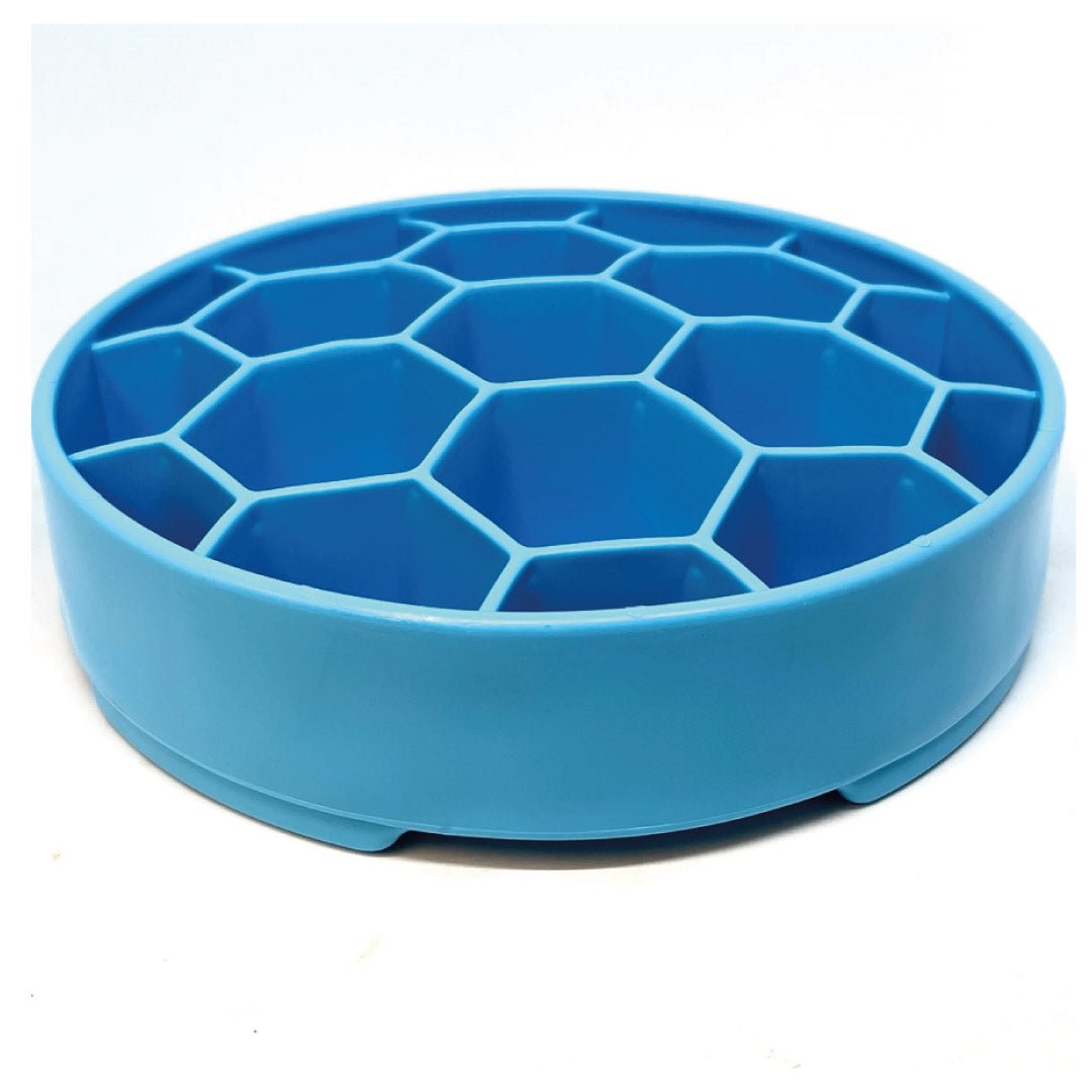 Sodapup Ebowl Honeycomb Blue - slowfeeder - Shop with Marley's