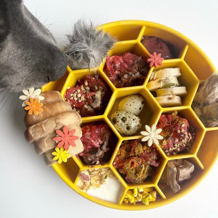 Sodapup Ebowl Honeycomb Yellow - Shop with Marley's