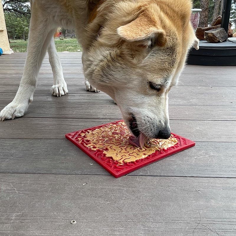 SodaPup eMat Bones – Likmat voor honden – Paars & Rood – Large - Shop with Marley's