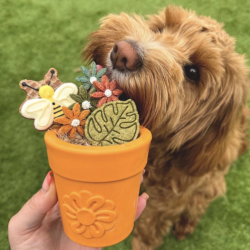 Sodapup Flower Pot Large Terracotta - Shop with Marley's