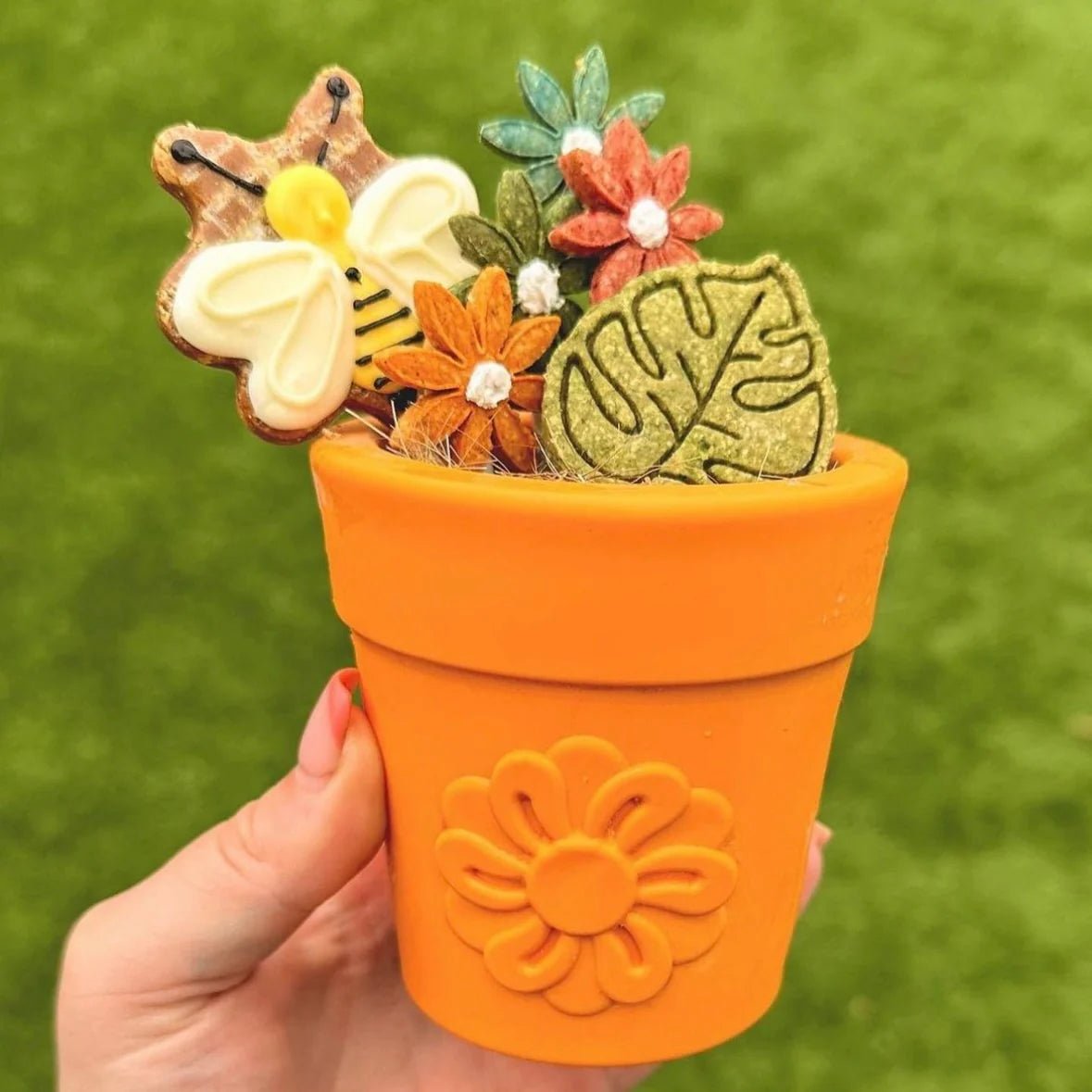 Sodapup Flower Pot Large Terracotta - Shop with Marley's