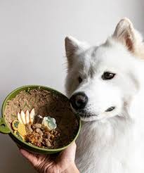 SodaPup Garden of Eating Tipsy Bowl – Likkom voor honden – Groen, Plum & Paars - Shop with Marley's