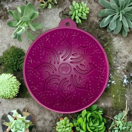 Sodapup Garden of Eating Tipsy Bowl Plum - Shop with Marley's