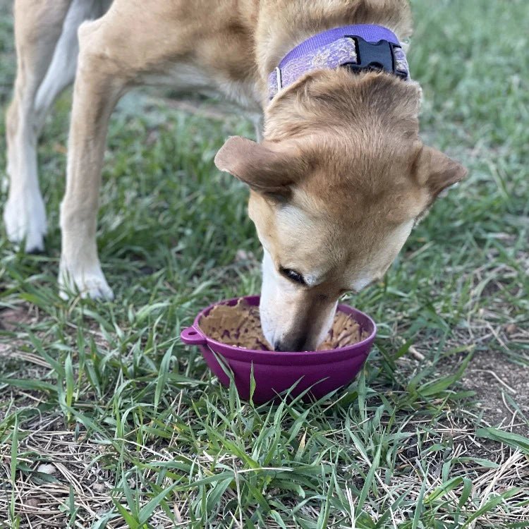 Sodapup Garden of Eating Tipsy Bowl Plum - Shop with Marley's