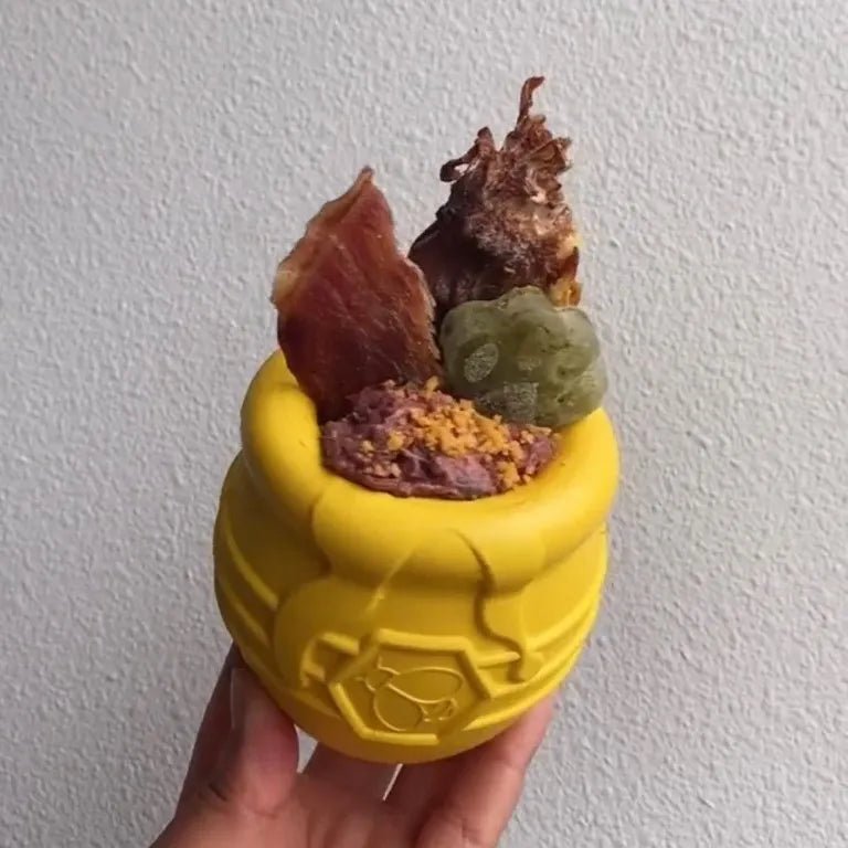 Sodapup Honey Pot Yellow large - Shop with Marley's