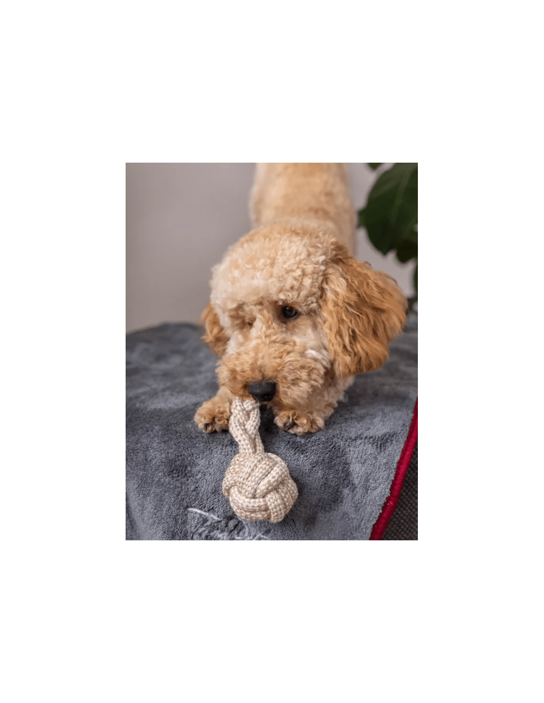 Trendpet Ruby - Super absorberende droogdoek - Shop with Marley's