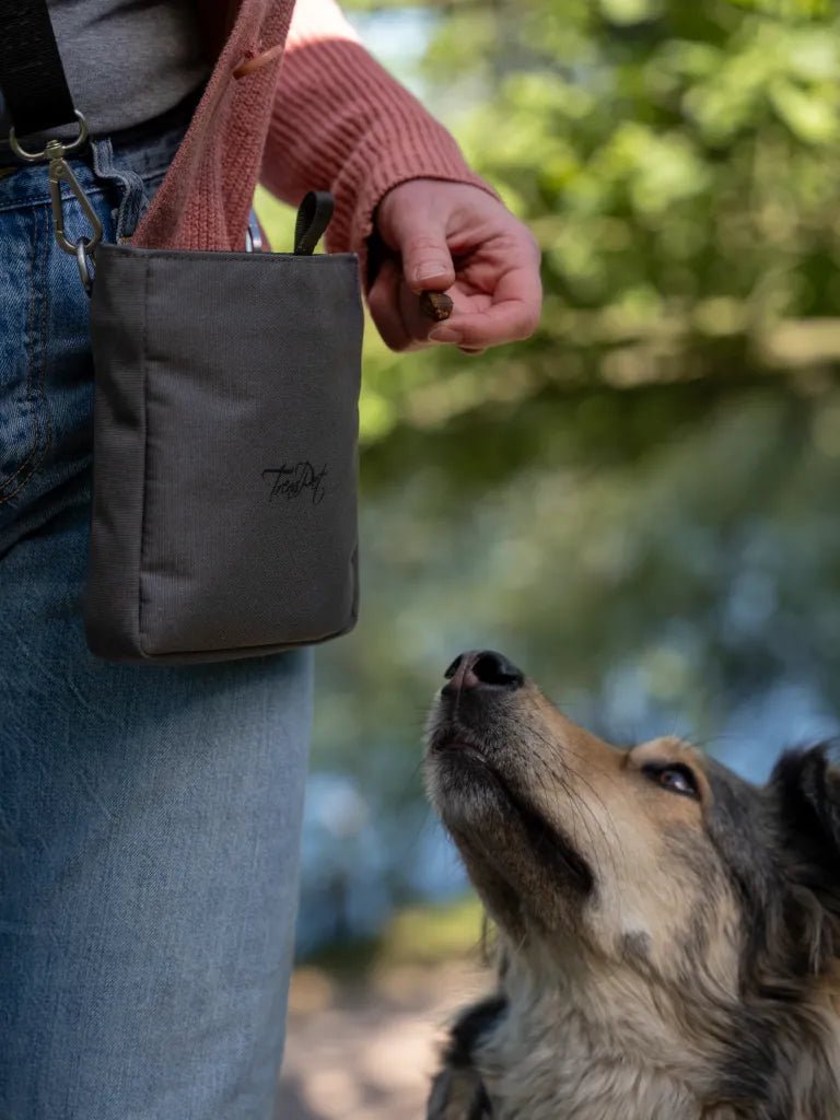 Trendpet Snaxx trainingstasje Grey - Shop with Marley's