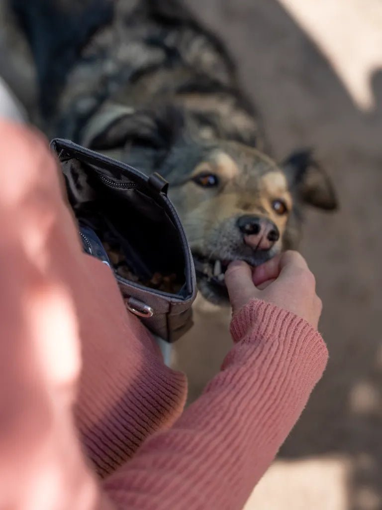 Trendpet Snaxx trainingstasje Grey - Shop with Marley's