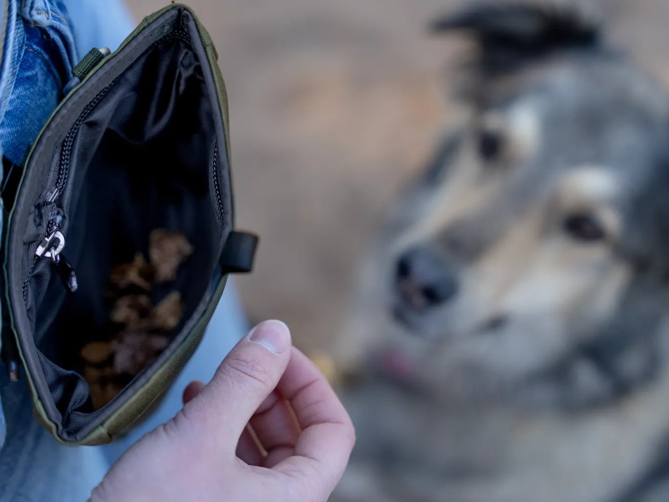 Trendpet Snaxx trainingstasje olive geen - Shop with Marley's