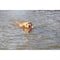 Trixie waterspeeltje boei - Shop with Marley's