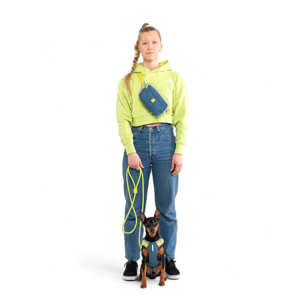 Woolly wolf - Alpha 360 - Hip Pack - Deep Teal - beloningstasje voor hondentraining - Shop with Marley's