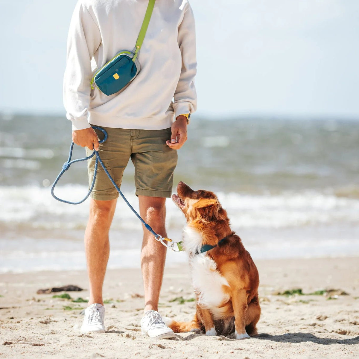 Woolly wolf - Alpha 360 - Hip Pack - Deep Teal - beloningstasje voor hondentraining - Shop with Marley's
