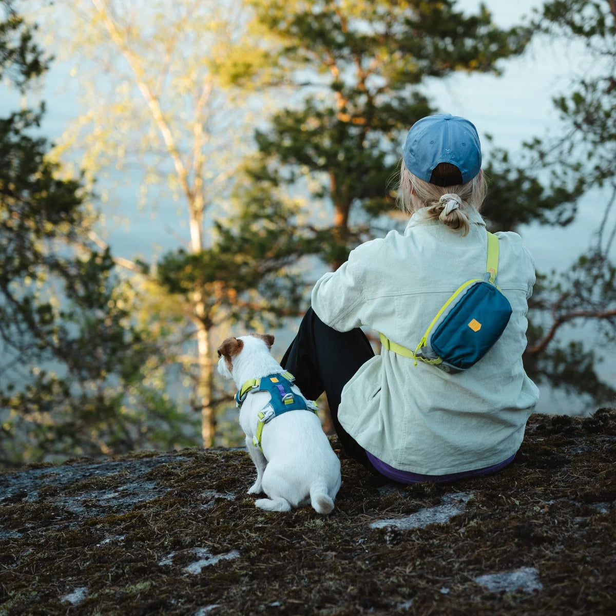 Woolly wolf - Alpha 360 - Hip Pack - Deep Teal - beloningstasje voor hondentraining - Shop with Marley's