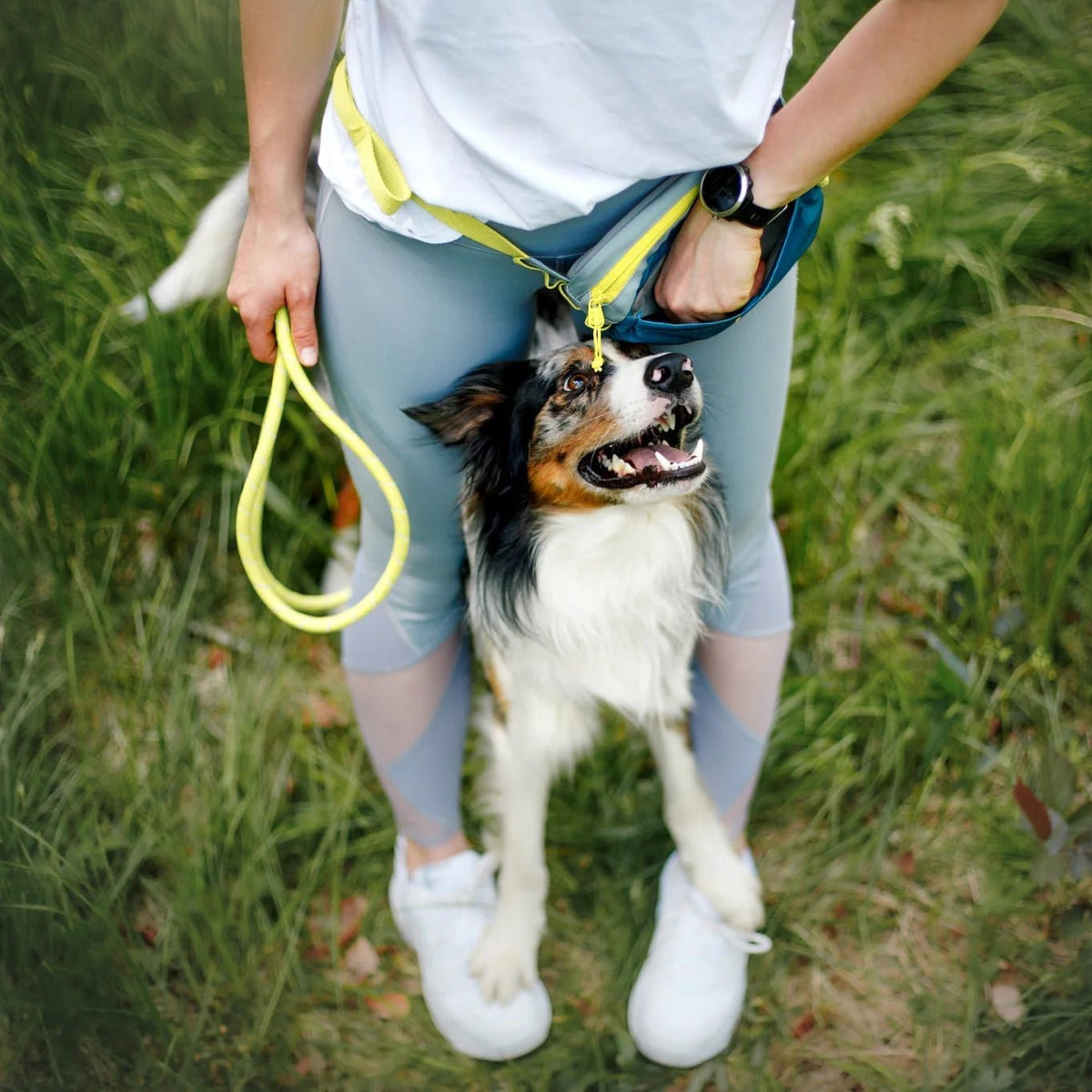 Woolly wolf - Alpha 360 - Hip Pack - Deep Teal - beloningstasje voor hondentraining - Shop with Marley's