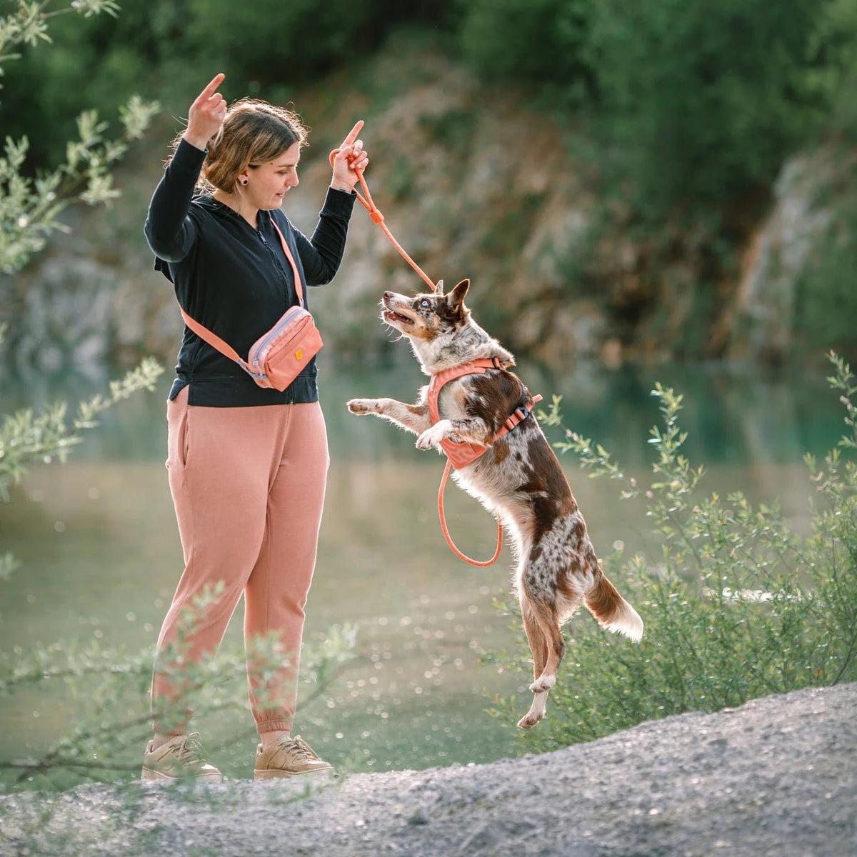 Woolly wolf - Alpha 360 - Hip Pack - Salmon Pink - beloningstasje voor hondentraining - Shop with Marley's